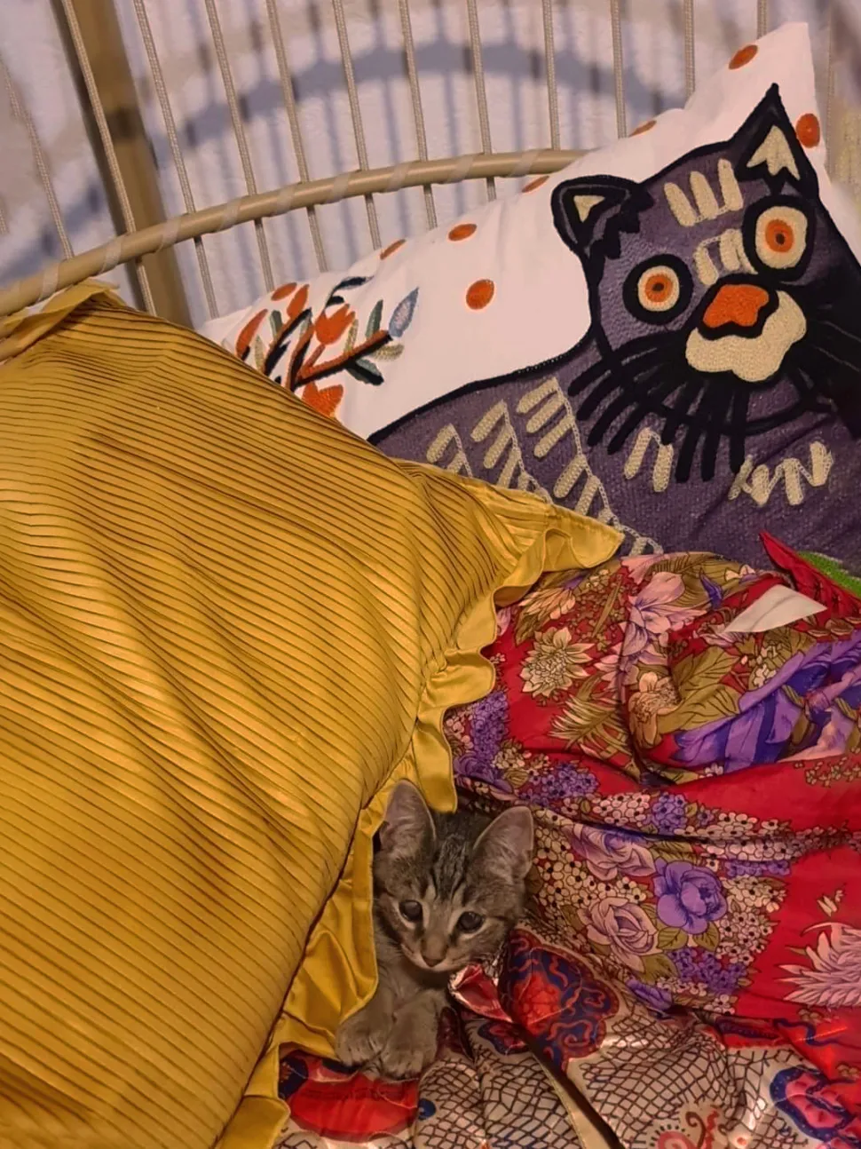 Almofada Decorativa Bordada Algodao Multicolor 50 X 50 Cm Phusro