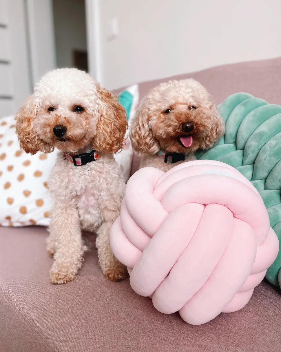 Almofada Decorativa Com No Em Veludo Rosa 30 X 30 Cm Malni