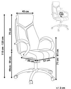Cadeira De Escritorio Preta Formula