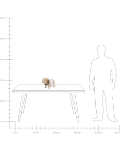 Candeeiro De Mesa Em Madeira Clara Douce