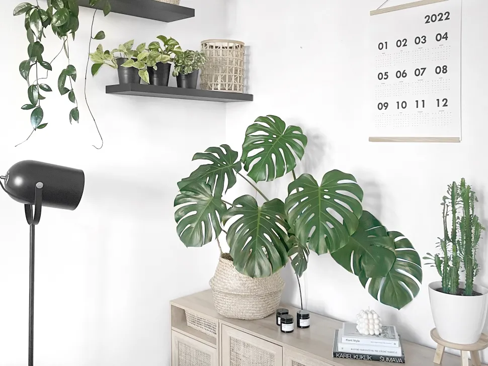 Candeeiro De Pe Preto Tyria