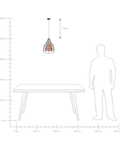 Candeeiro De Teto Em Metal Cor De Cobre Em Gaiola Preta Tresa