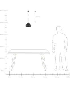 Candeeiro De Teto Preto Evinos