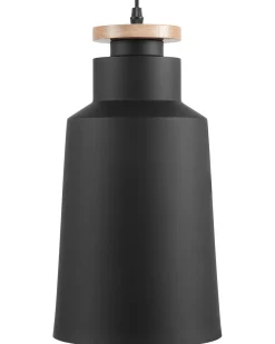 Candeeiro De Teto Preto Neva