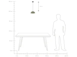 Candeeiro De Teto Verde Esera