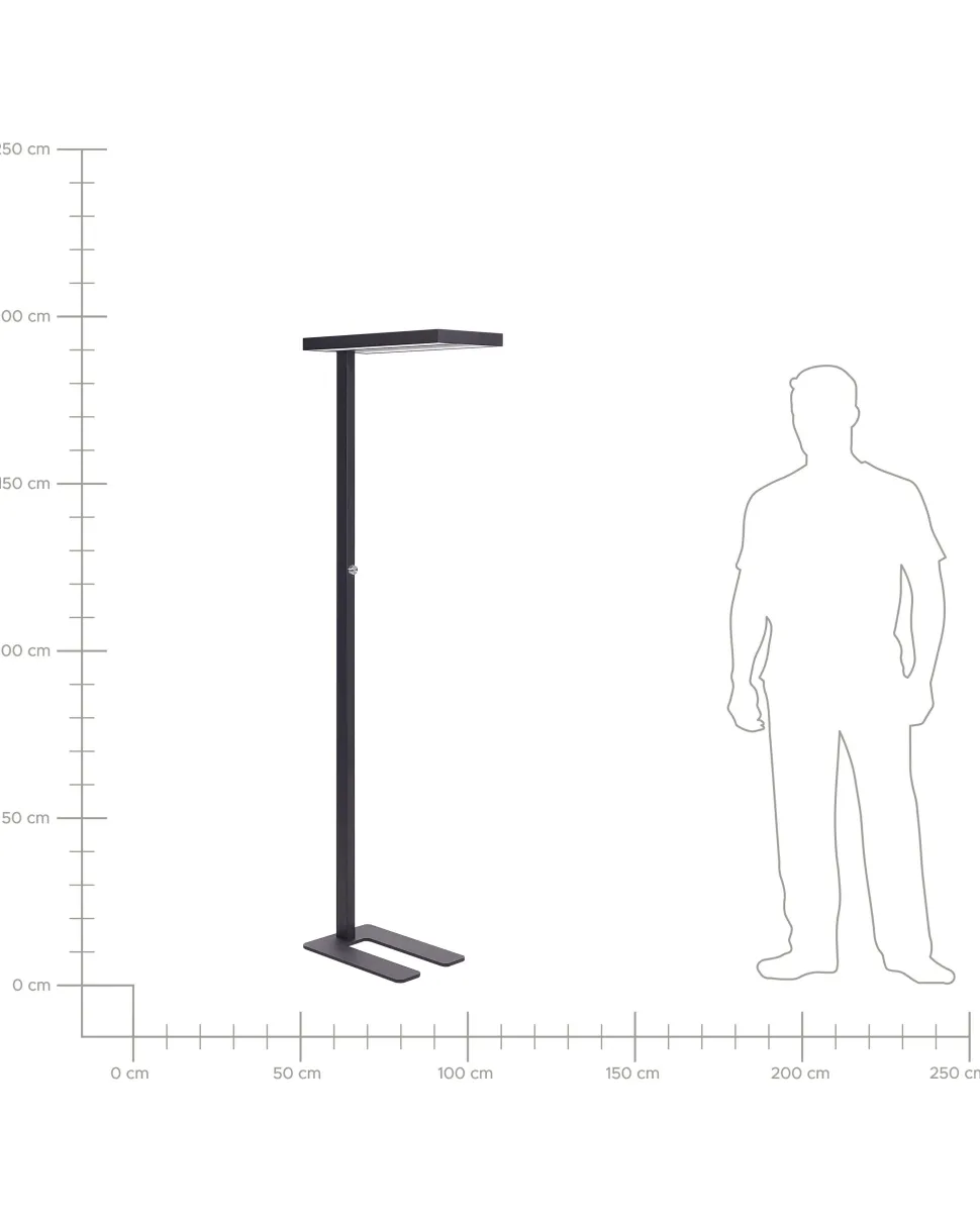 Candeeiro Led De Pe Em Metal Preto 197 Cm Taurus