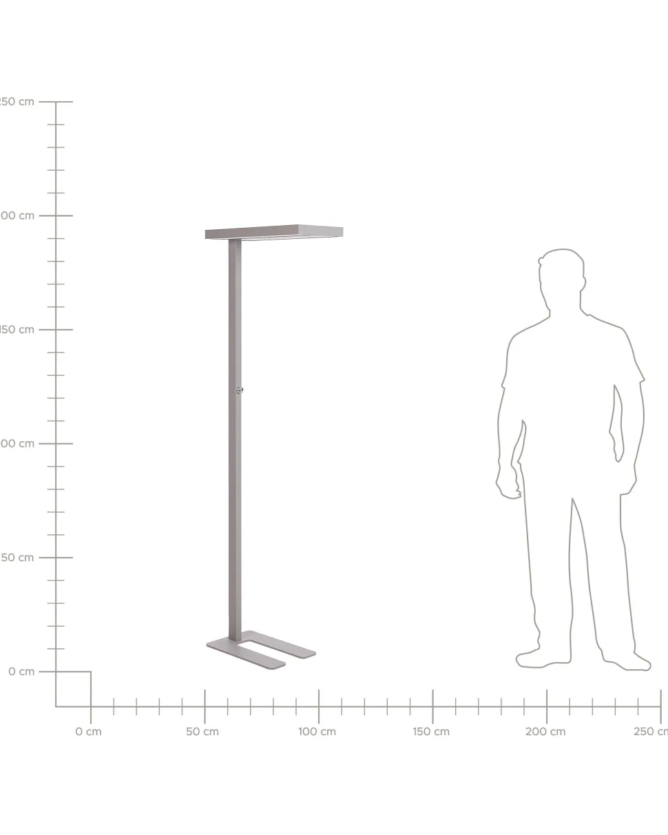 Candeeiro Led De Pe Em Metal Prateado 197 Cm Taurus