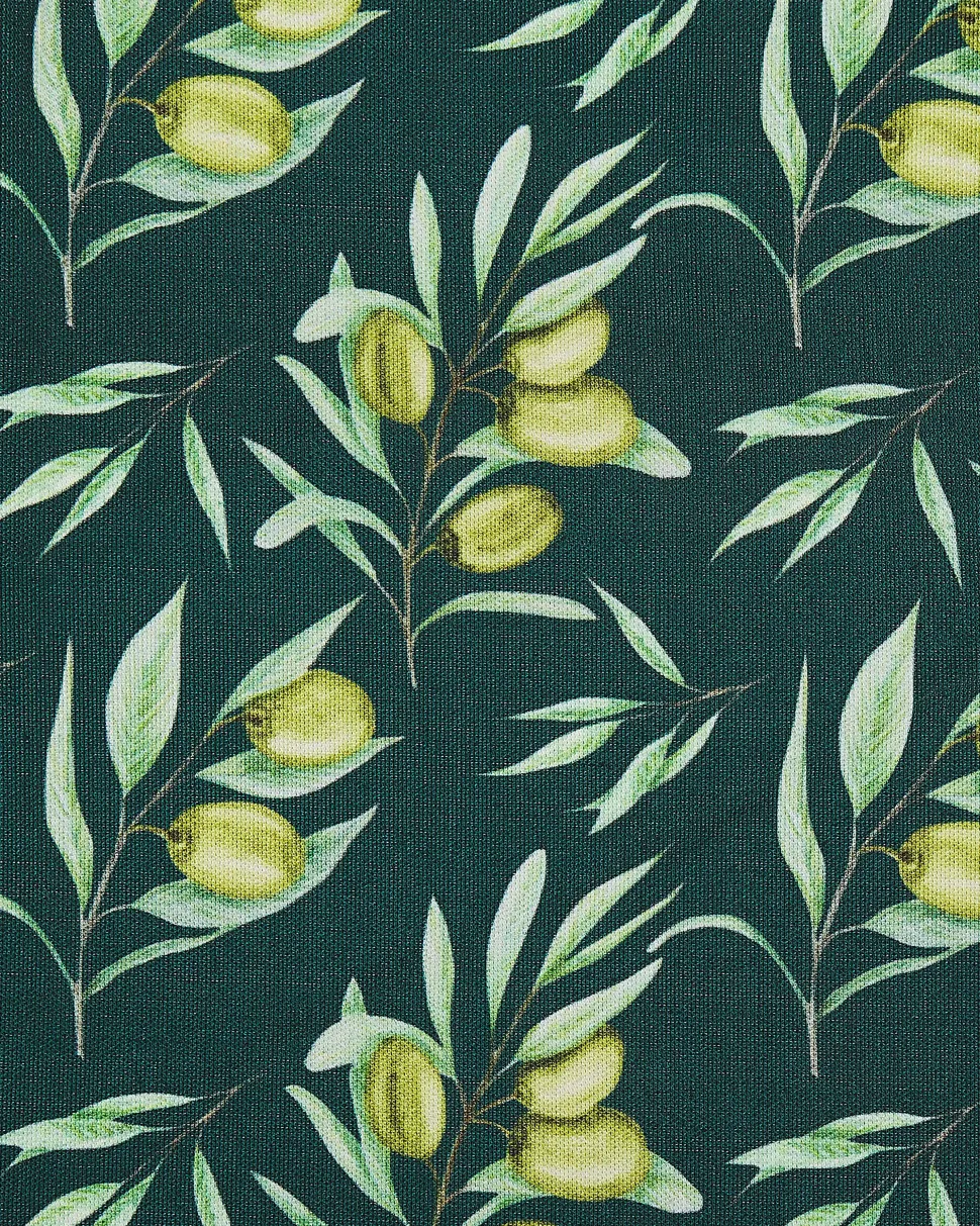 Conjunto 2 Cadeiras Madeira Escura E 2 Lonas Cinzentas E Padrao Oliveira Cine