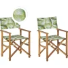 Conjunto 2 Cadeiras Madeira Clara E 2 Lonas Creme E Padrao Palmeira Cine