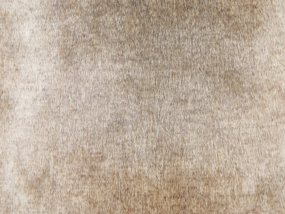 Conjunto De 2 Almofadas Com Pelo Castanho Claro 45 X 45 Cm Hordeum