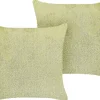 Conjunto De 2 Almofadas Decorativas Verdes 45 X 45 Cm Pilea