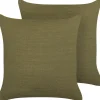 Conjunto De 2 Almofadas Decorativas Verdes 45 X 45 Cm Sagina