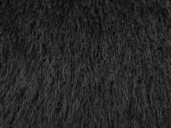 Conjunto De 2 Almofadas Decorativas Pretas 45 X 45 Cm Cide