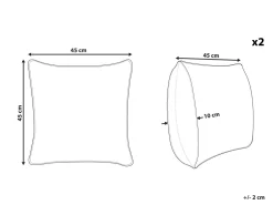 Conjunto De 2 Almofadas Decorativas Preto E Dourado 45 X 45 Cm Ursinia