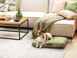 Conjunto De 2 Almofadas Em Veludo Verde Azeitona 43 X 43 Cm Narcissus