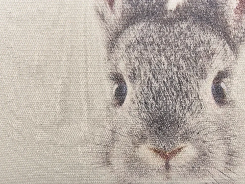 Conjunto De 2 Almofadas Em Algodao Cinzento Com Motivo De Coelho 45 X 45 Cm Quercus