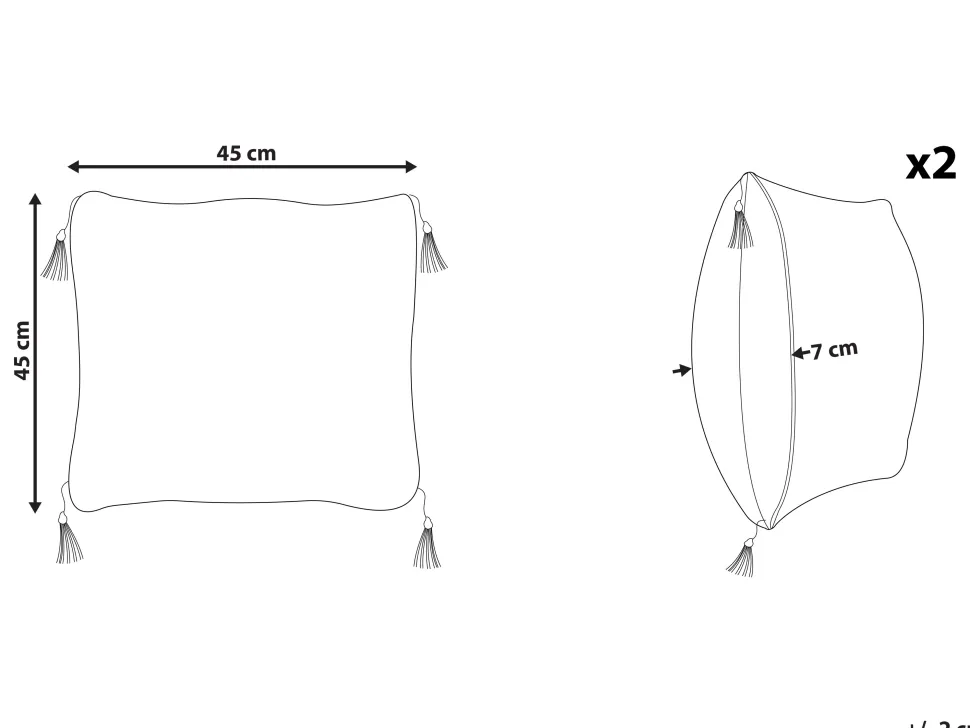 Conjunto De 2 Almofadas Preto E Branco 45 X 45 Cm Liriope