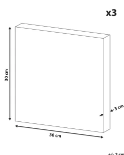Conjunto De 3 Quadros Em Tela 30 X 30 Cm Multicolor Bingui