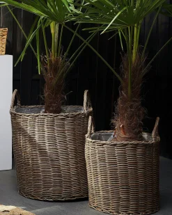 Conjunto De 2 Vasos Para Plantas Cor De Areia Bitola