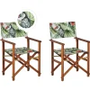 Conjunto De Cadeiras De Jardim Madeira Escura E 2 Lonas Creme E Padrao Tucano Cine