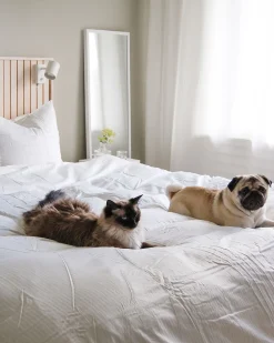 Conjunto De Capas De Edredao Em Algodao Acetinado Branco 220 X 240 Cm Avondale