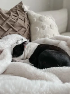 Manta Branca 200 X 220 Cm Chaab