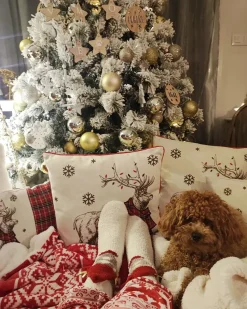 Manta Vermelha 150 X 200 Cm Vantaa