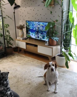 Movel De Tv Com 1 Gaveta E 5 Prateleiras Em Madeira Clara E Branco Eerie