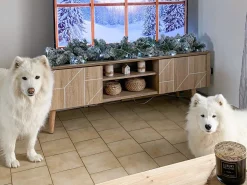 Movel De Tv Com 2 Portas E 2 Prateleiras Em Madeira Clara Franklin