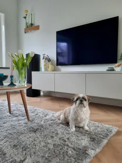 Tapete Cinzento Claro 200 X 300 Cm Evren