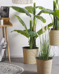 Tapete Redondo De Algodao Creme E Preto O 120 Cm Hizan