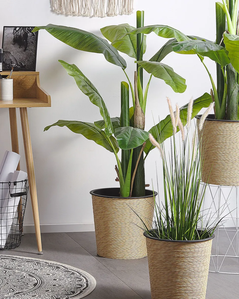 Tapete Redondo De Algodao Creme E Preto O 120 Cm Hizan