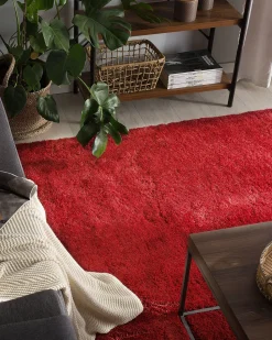 Tapete Vermelho 160 X 230 Cm Evren