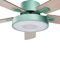 Ventoinha De Teto Verde E Castanha Clara Com Luz Hobble